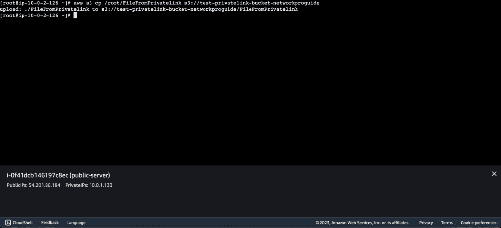 Screenshot showing Copying the file to the S3 bucket