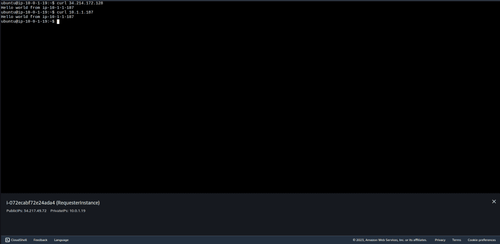 Screenshot showing how to curl the instance through both public and private ip to verify the connection is working.