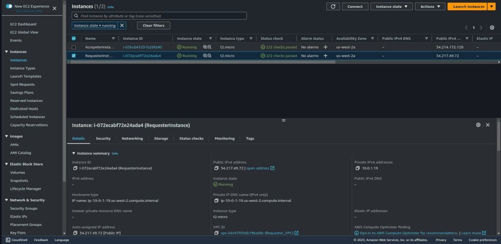 Screenshot showing requester VPC instance with Public IP 
