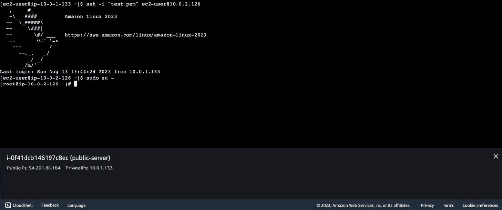 Screenshot showing Switching to the root user