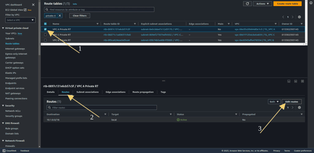 Editing private subnet route table