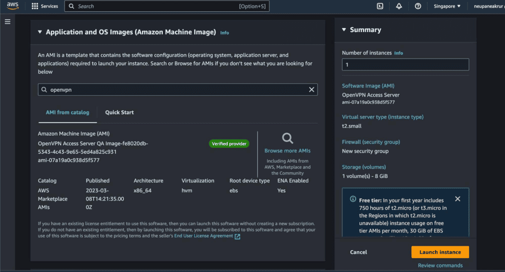 Screenshot showing details of the AWS instances