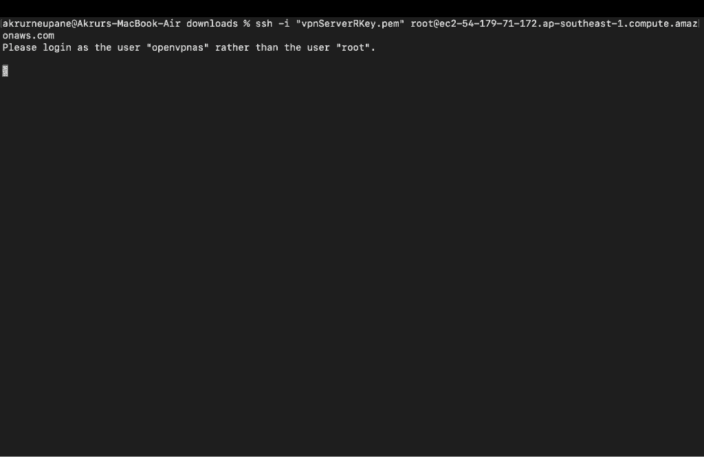 Screenshot showing login into the server