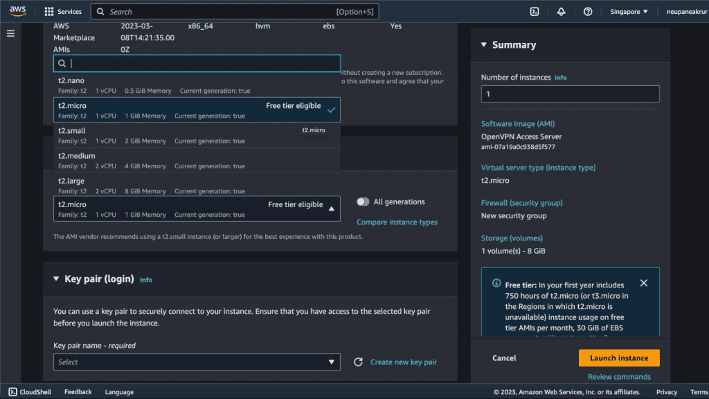 Screenshot showing selecting the t2.micro instance