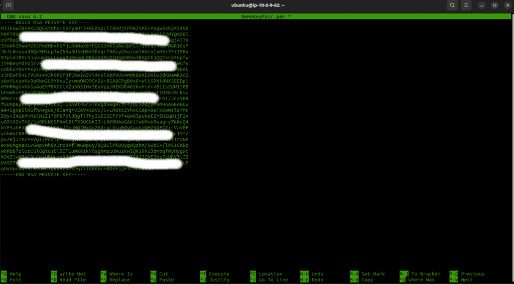 Pasting the private key on the file
