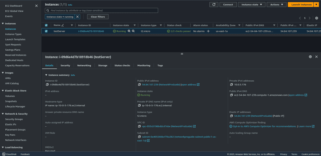 Web server running on a public subnet. 